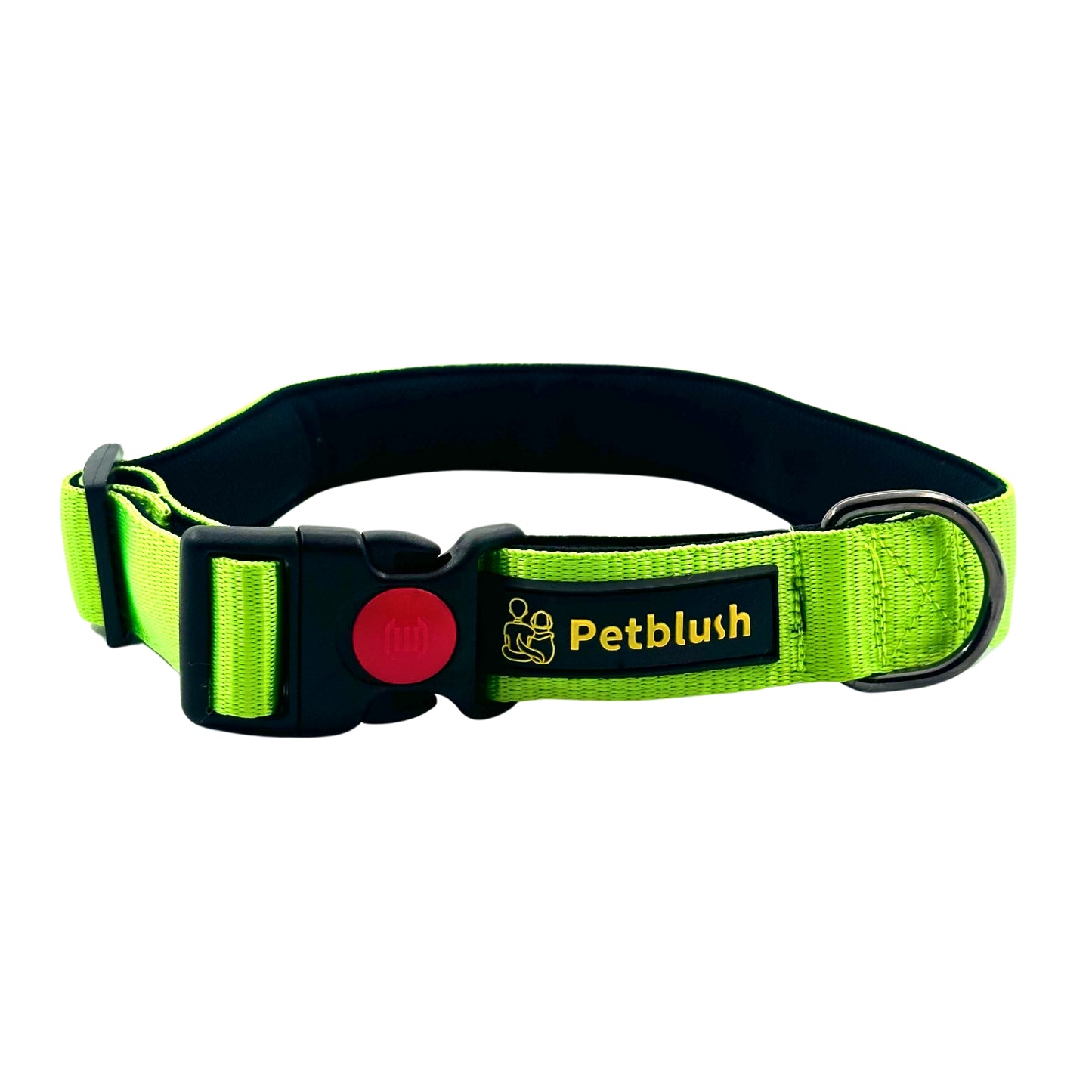 Petblush Bold Padded Collars with Lock Buckle