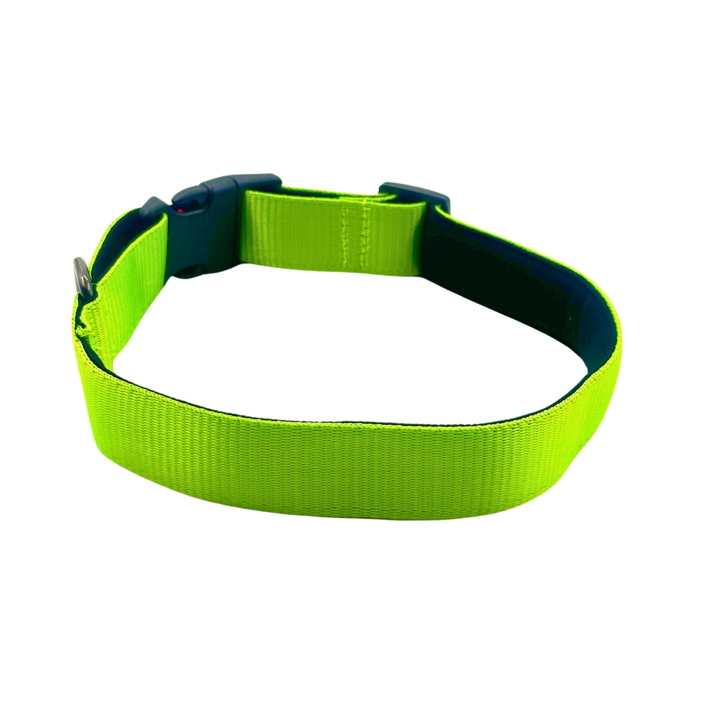 Petblush Bold Padded Collars with Lock Buckle