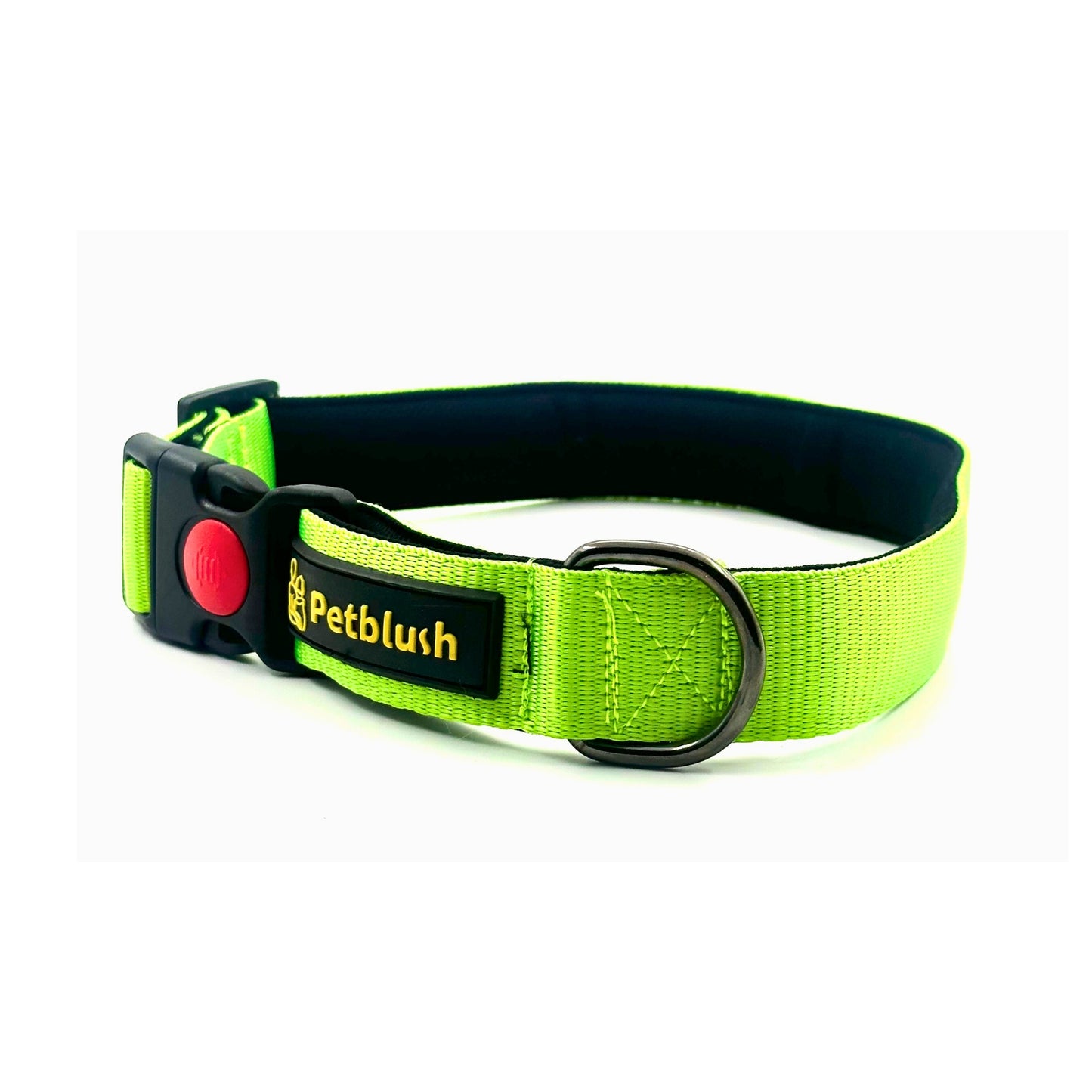 Petblush Bold Padded Collars with Lock Buckle
