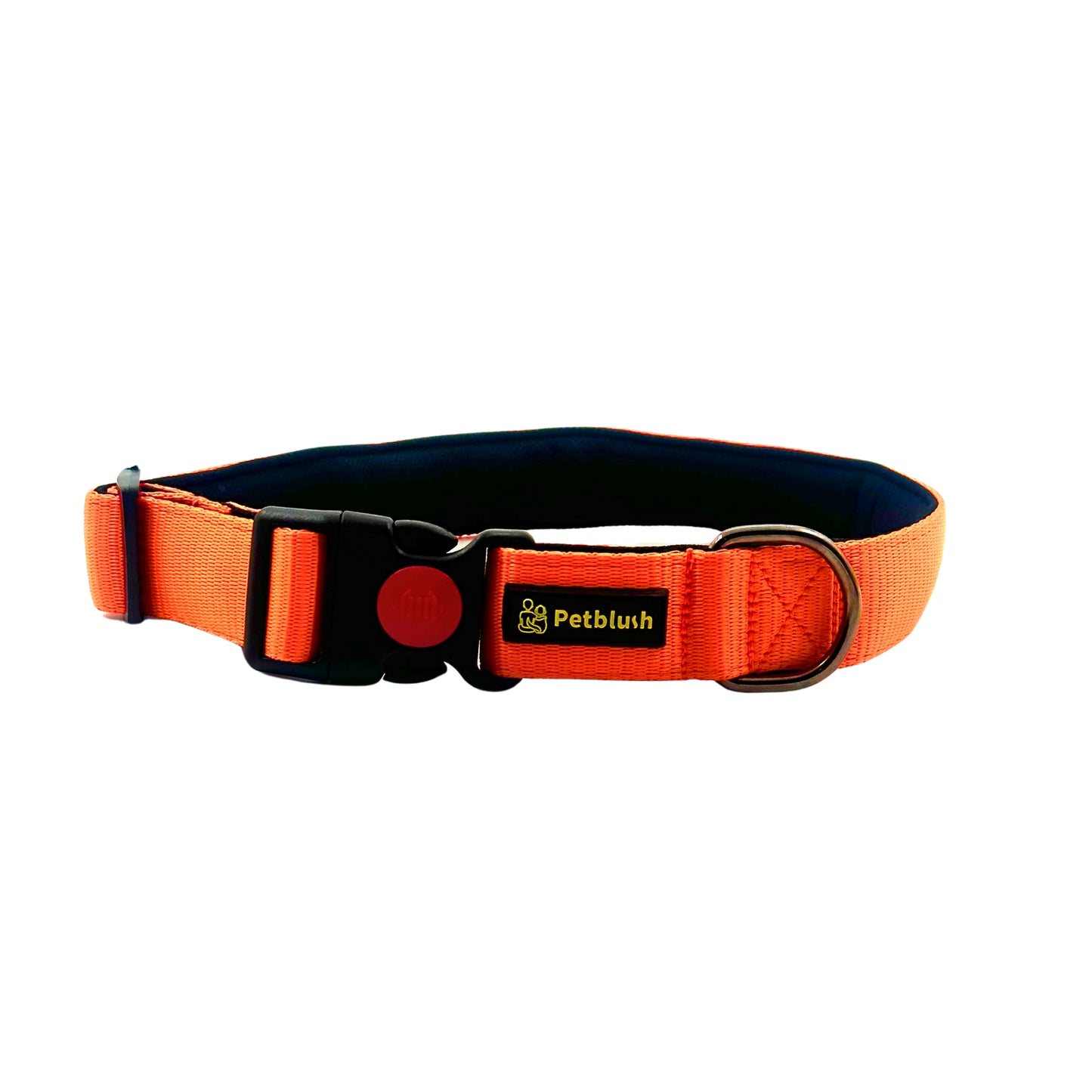 Petblush Bold Padded Collars with Lock Buckle