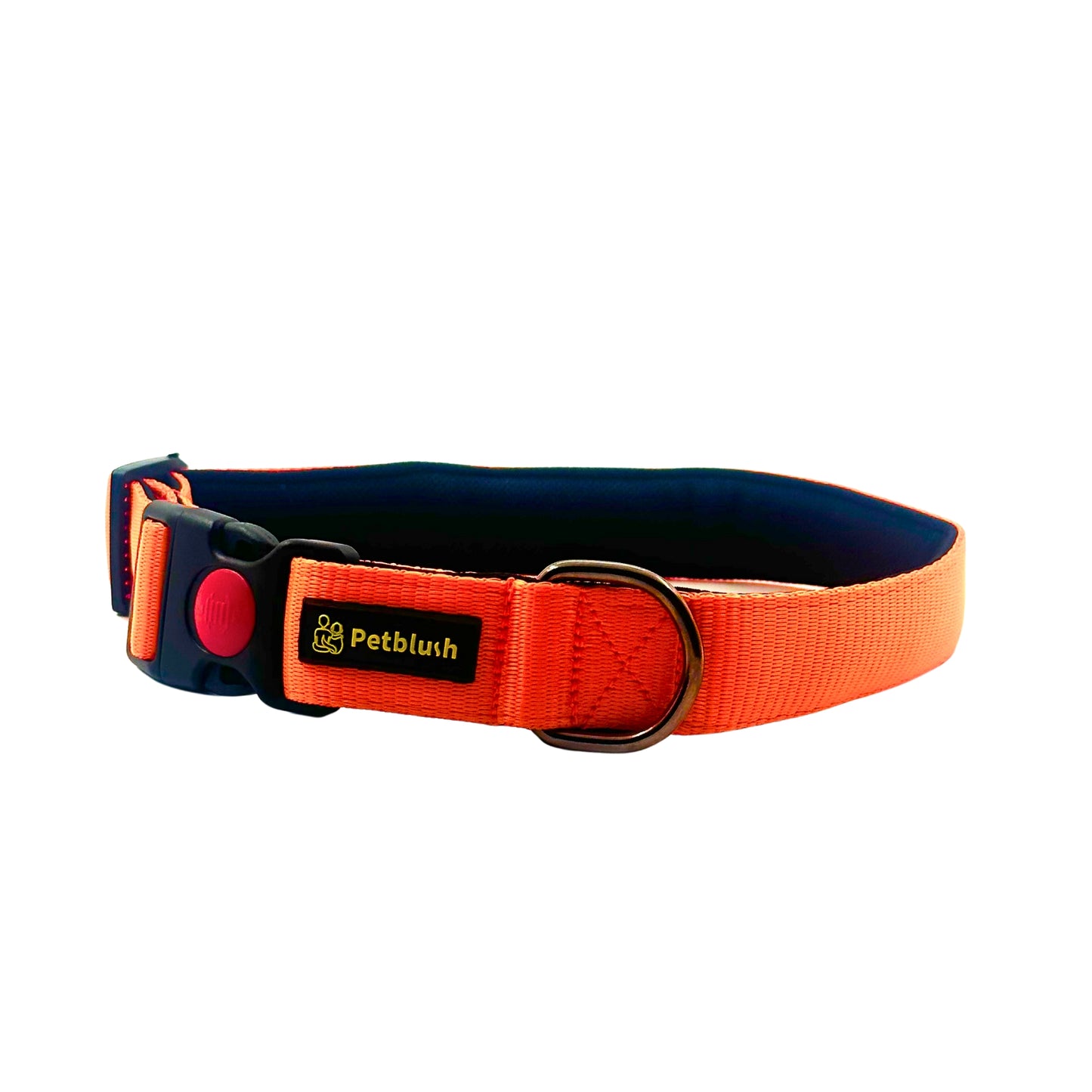 Petblush Bold Padded Collars with Lock Buckle