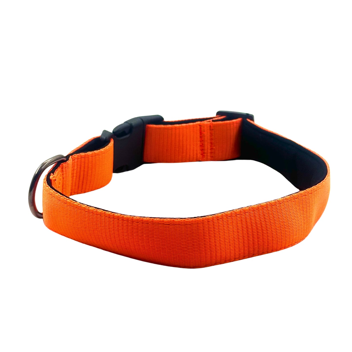 Petblush Bold Padded Collars with Lock Buckle