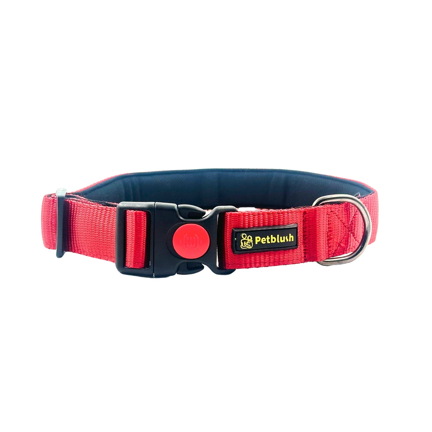 Petblush Bold Padded Collars with Lock Buckle