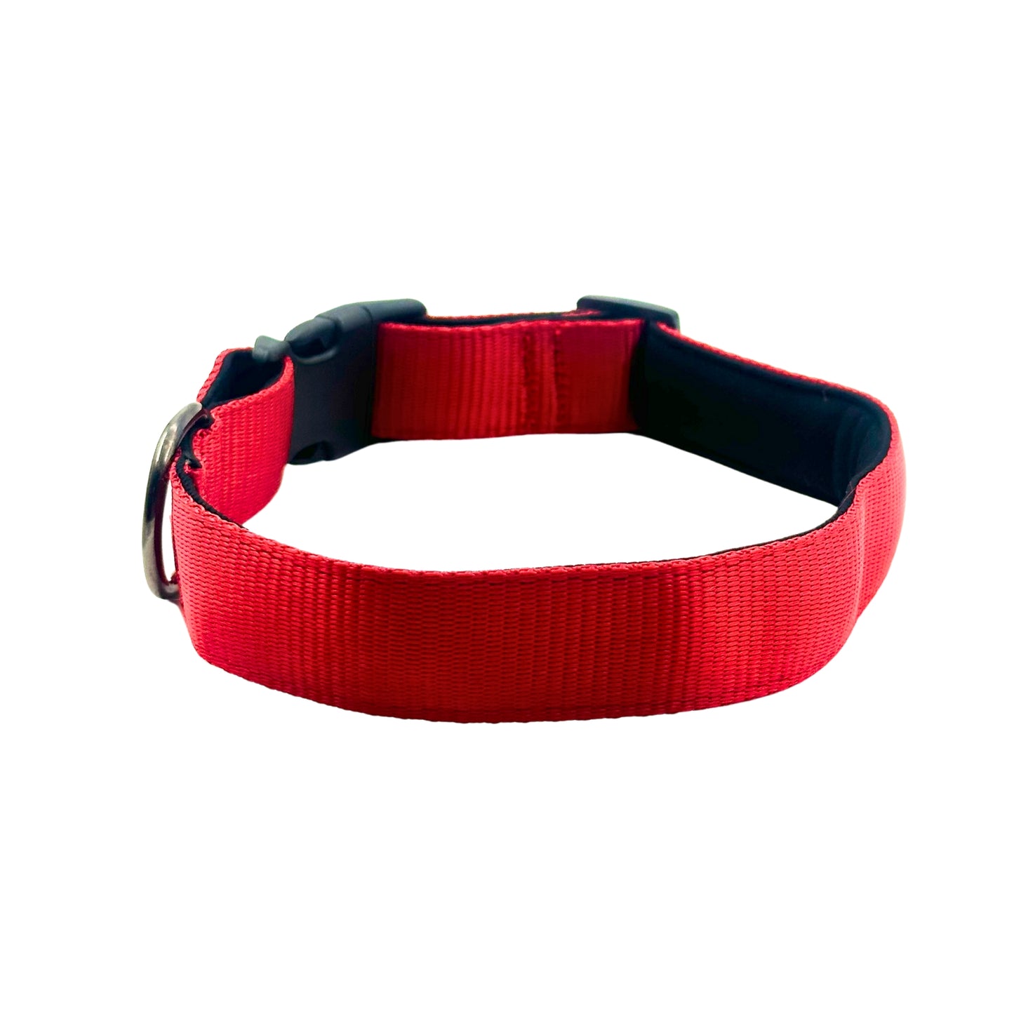 Petblush Bold Padded Collars with Lock Buckle