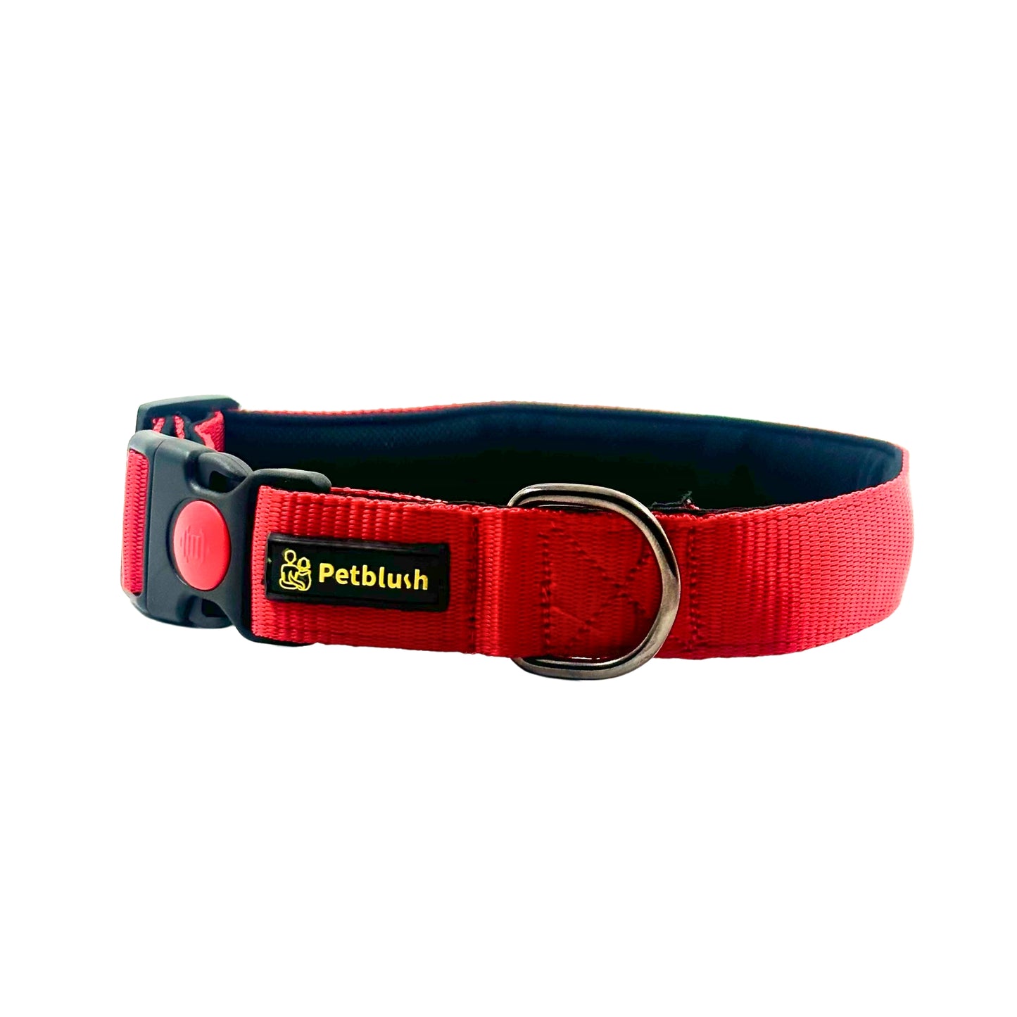 Petblush Bold Padded Collars with Lock Buckle