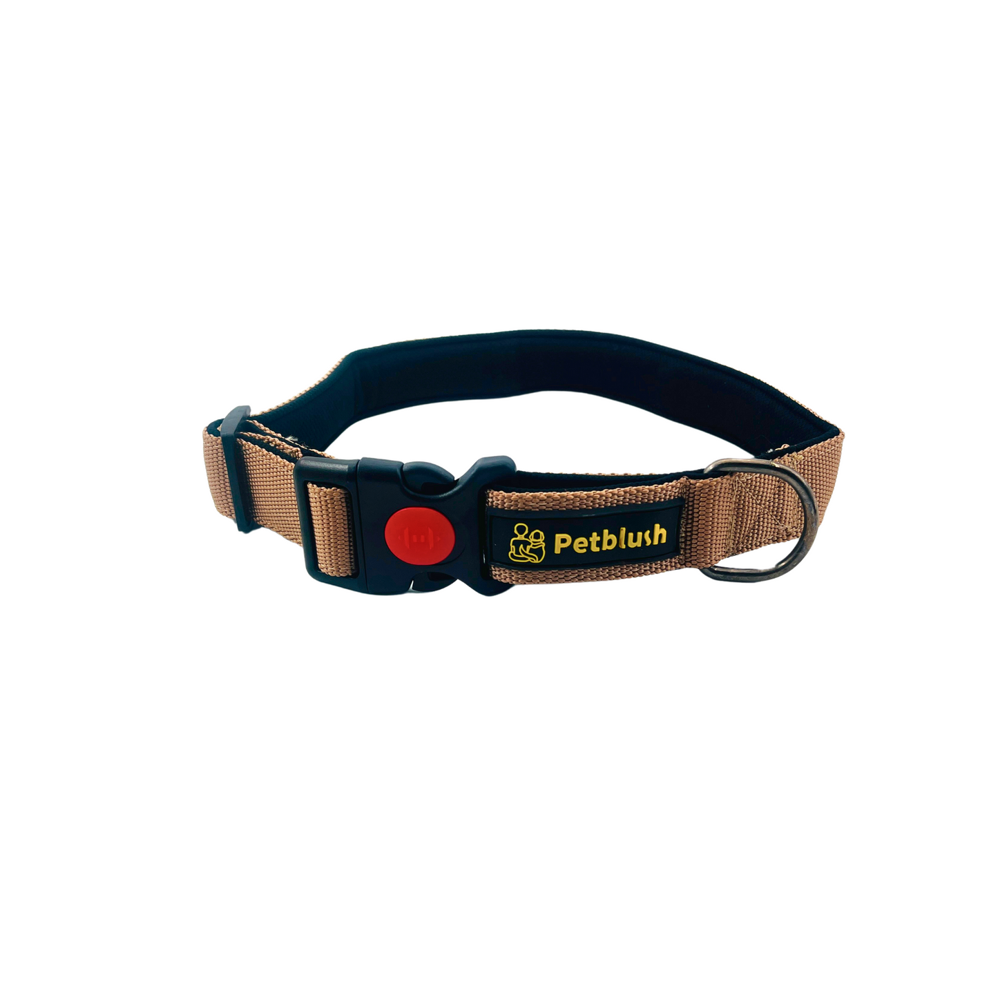 Petblush Premium Solid Padded Collar With Lock Buckle For Dogs
