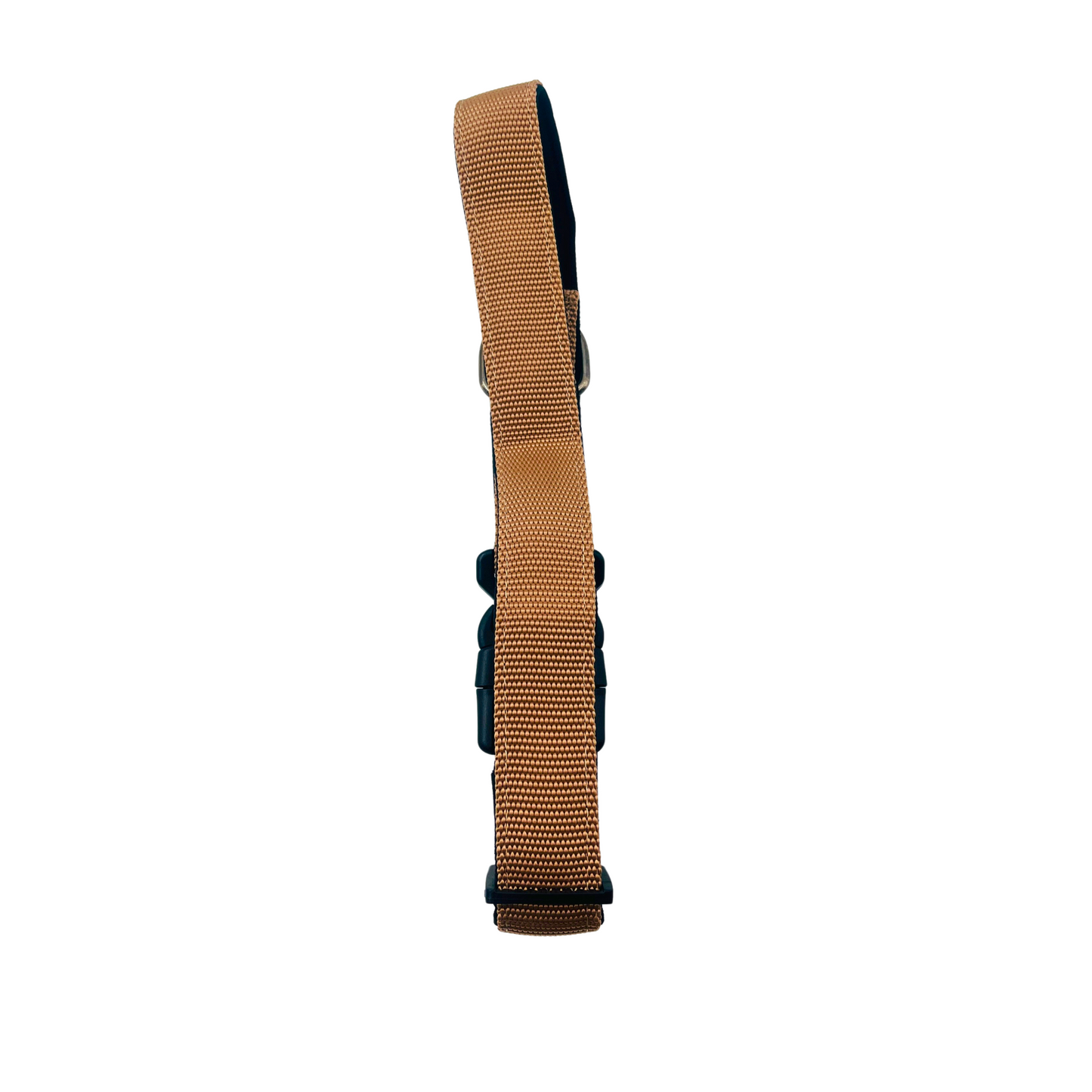 Petblush Premium Solid Padded Collar With Lock Buckle For Dogs