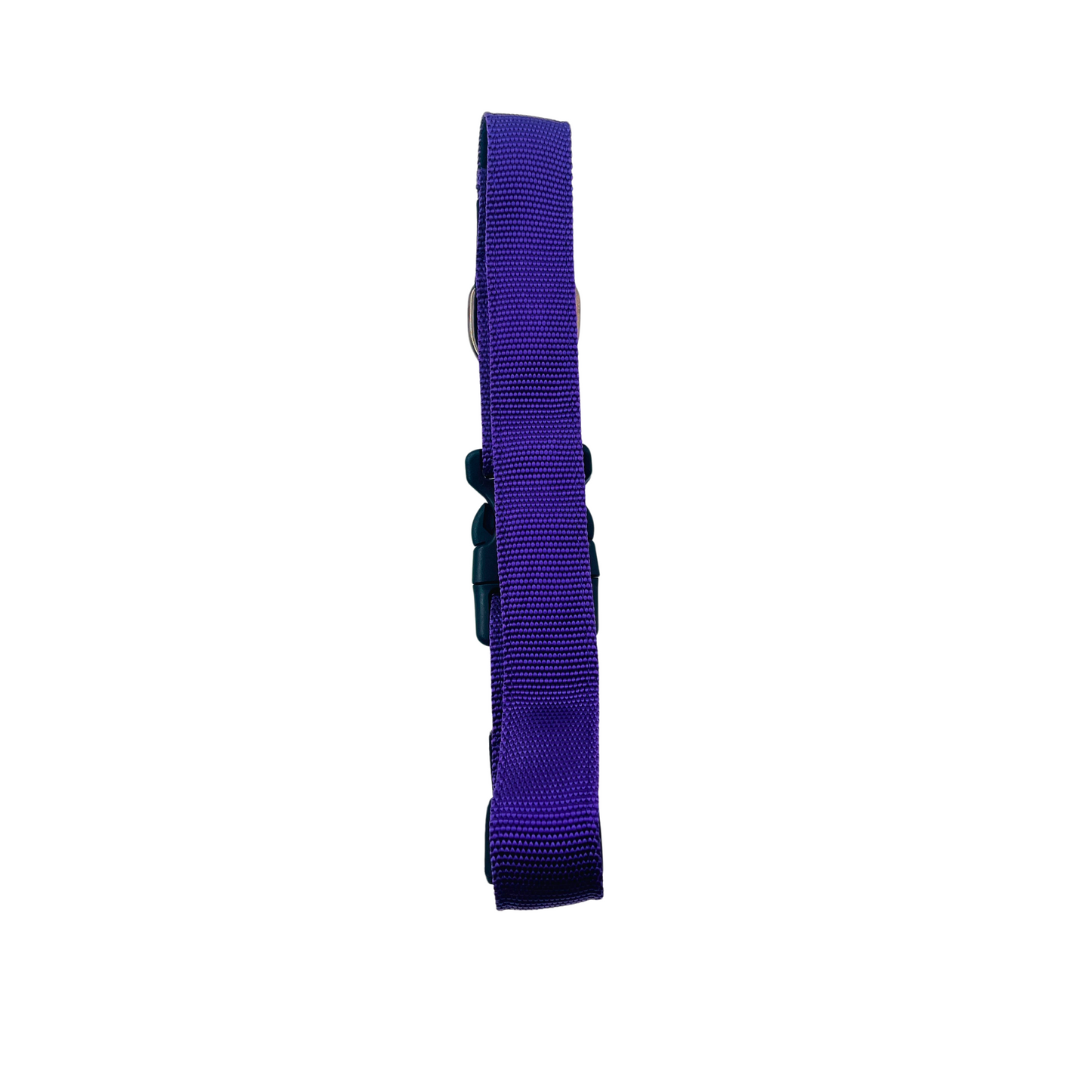 Petblush Premium Solid Padded Collar With Lock Buckle For Dogs