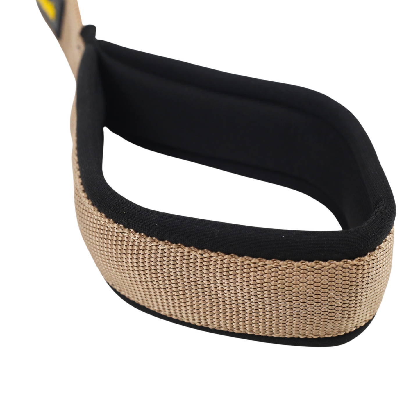 Petblush Classic Double Stitched Padded Handle Leash