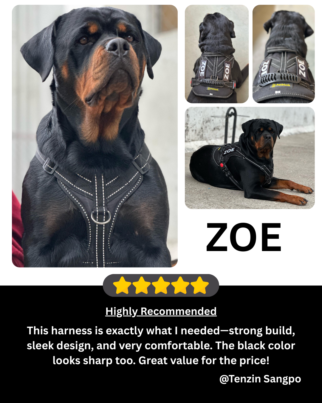 Petblush Tactical Harness for Dogs