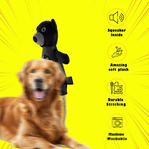 Petblush Hugsy The Bear Plush Toy for Dogs