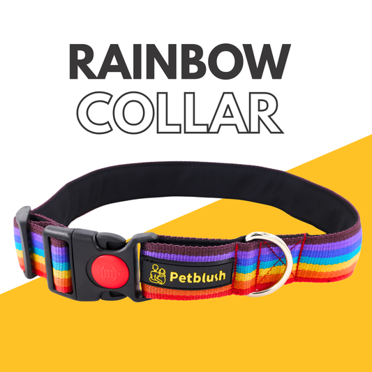 Petblush Rainbow Padded Collar For Dogs