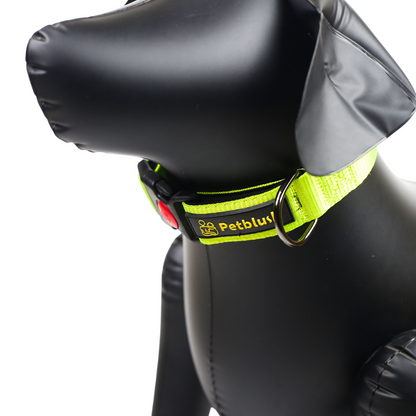 Petblush Bold Padded Collars with Lock Buckle