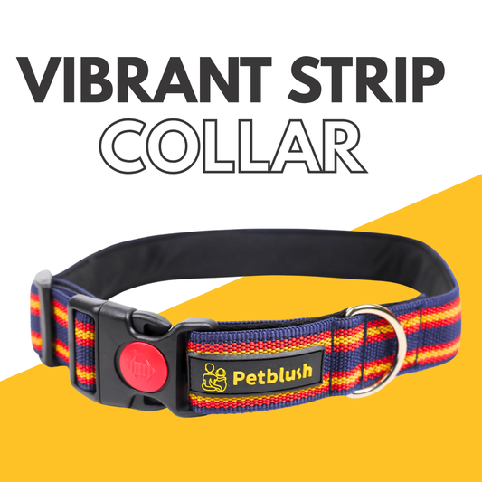 Petblush Vibrant Dual Stripes Collar For Dogs