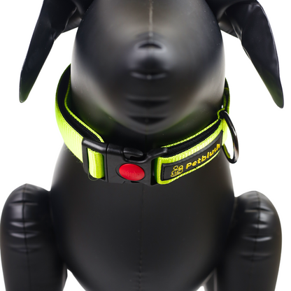 Petblush Bold Padded Collars with Lock Buckle