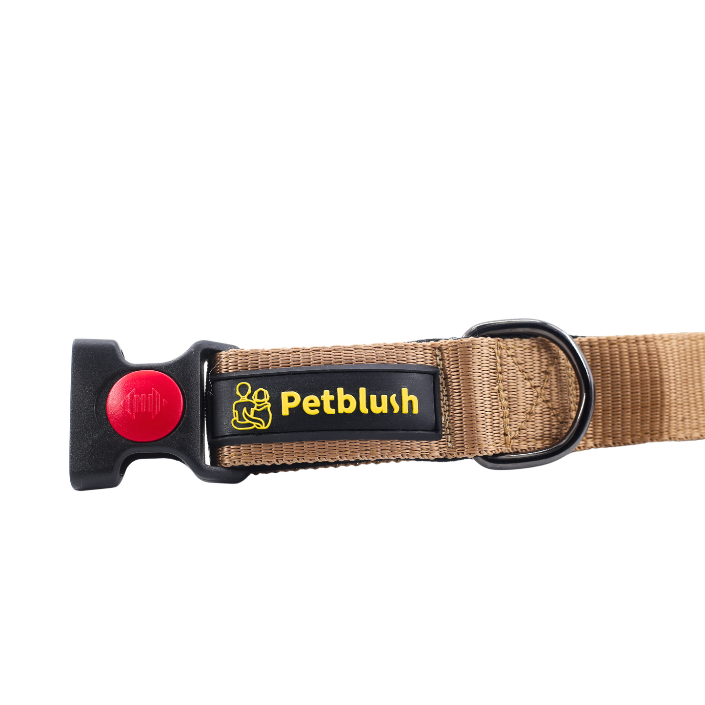 Petblush Bold Padded Collars with Lock Buckle