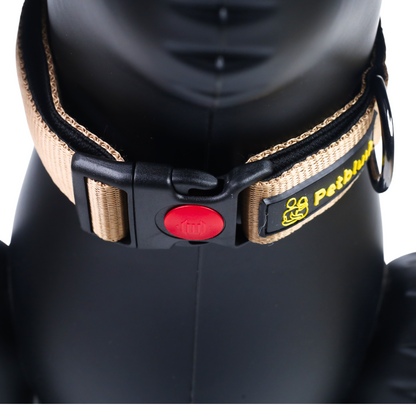 Petblush Bold Padded Collars with Lock Buckle