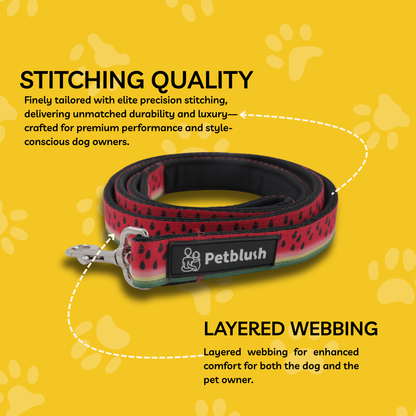 Petblush Watermelon Print Padded Handle Leash