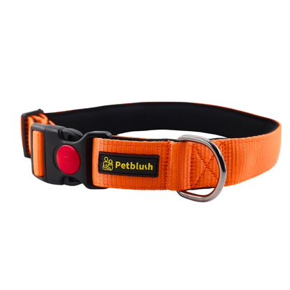 Petblush Bold Padded Collars with Lock Buckle