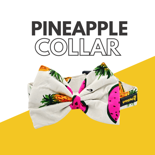 Petblush Watermelon And Pineapple Print Bow Collars For Dogs