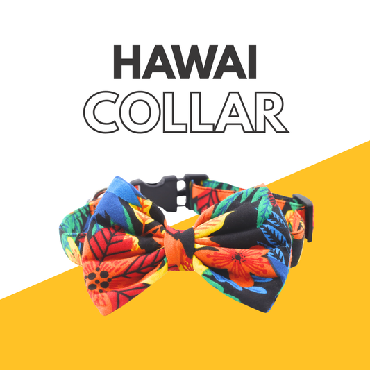 Petblush Hawai Print Bow Collars For Dogs