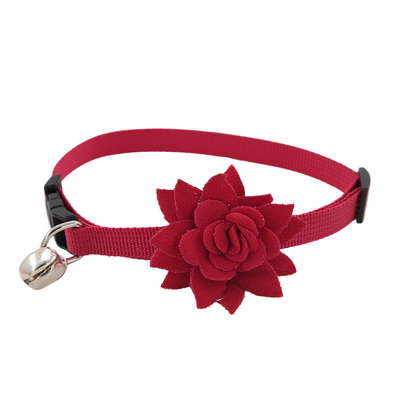 Petblush Floral Chic Collar for Cats and Puppies