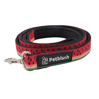 Petblush Watermelon Print Padded Handle Leash