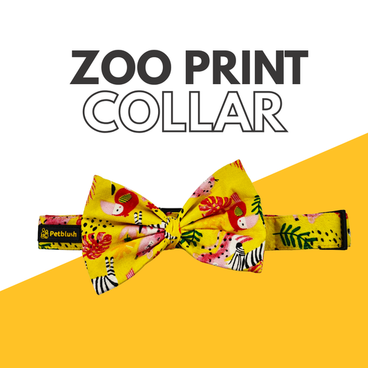 PetBlush Zoo Print Collar