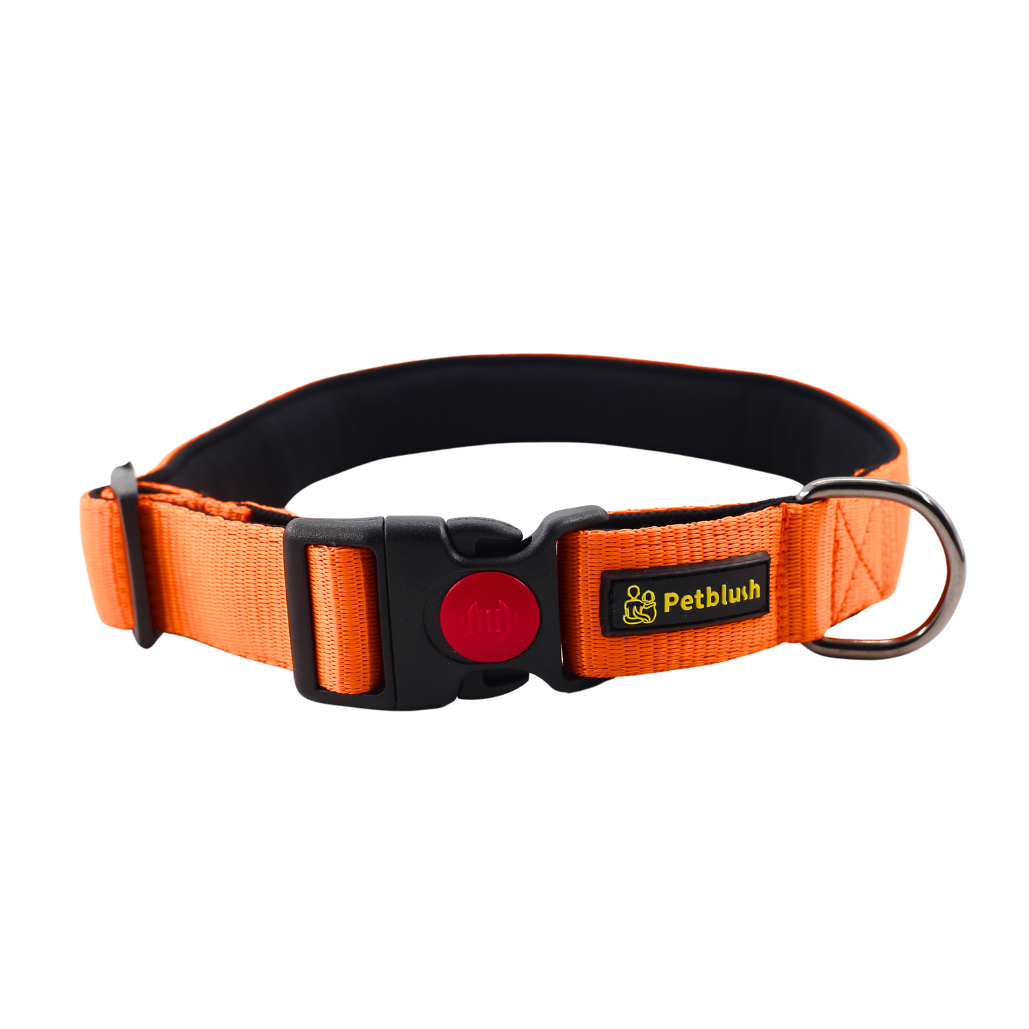 Petblush Bold Padded Collars with Lock Buckle