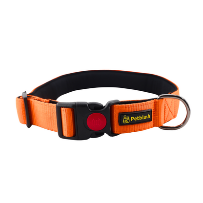 Petblush Bold Padded Collars with Lock Buckle