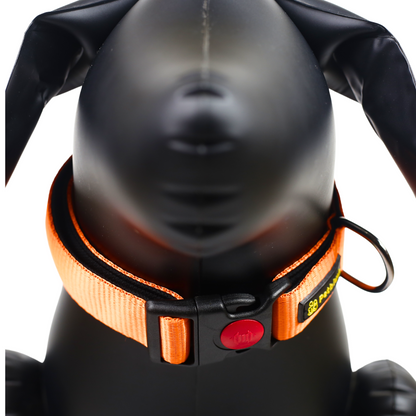 Petblush Bold Padded Collars with Lock Buckle