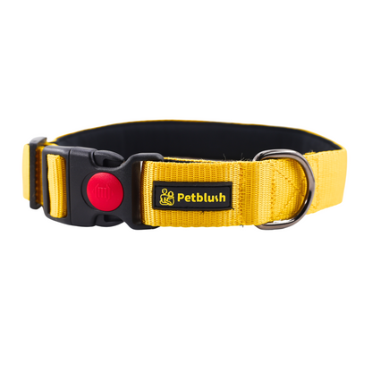 Petblush Bold Padded Collars with Lock Buckle