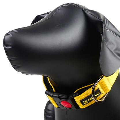 Petblush Bold Padded Collars with Lock Buckle