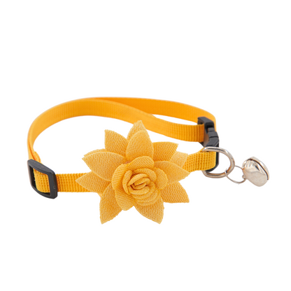 Petblush Floral Chic Collar for Cats and Puppies
