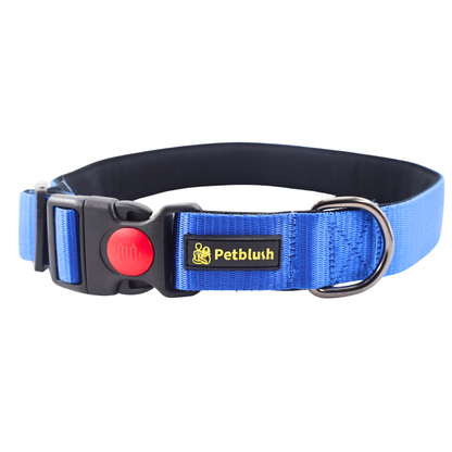 Petblush Bold Padded Collars with Lock Buckle