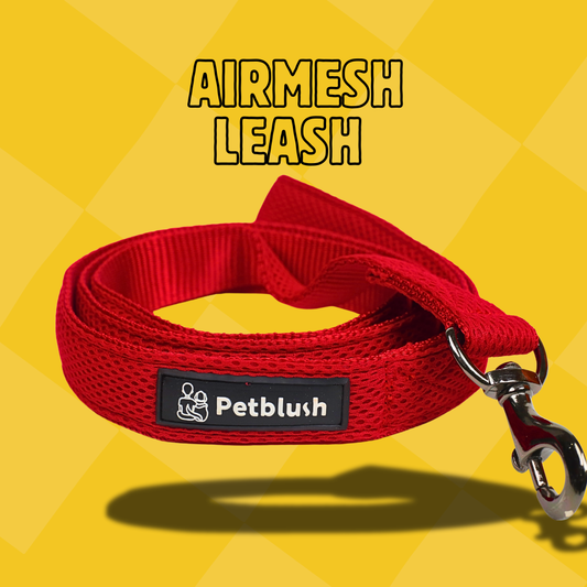 Petblush Airmesh Leash for Dogs
