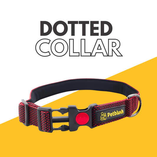 Petblush Dotted Padded Collar With Lock Buckle