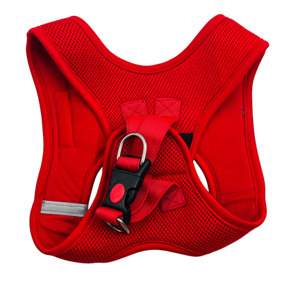 Petblush Pioneer Airmesh Harness for Dogs