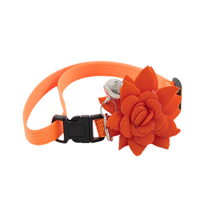 Petblush Floral Chic Collar for Cats and Puppies