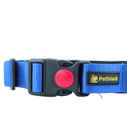 Petblush Bold Padded Collars with Lock Buckle