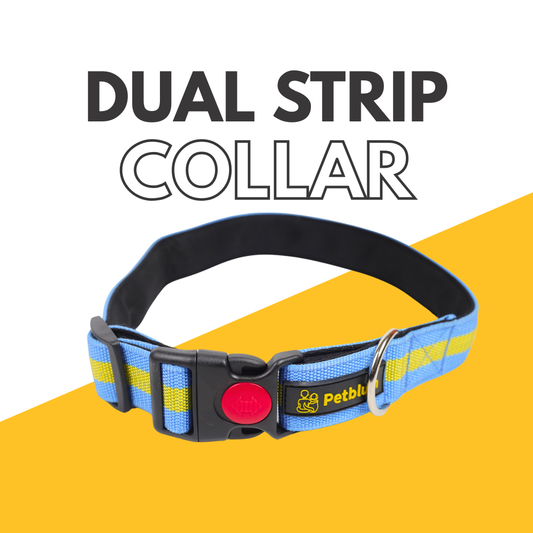 Petblush Dual Stripes Collar For Dogs