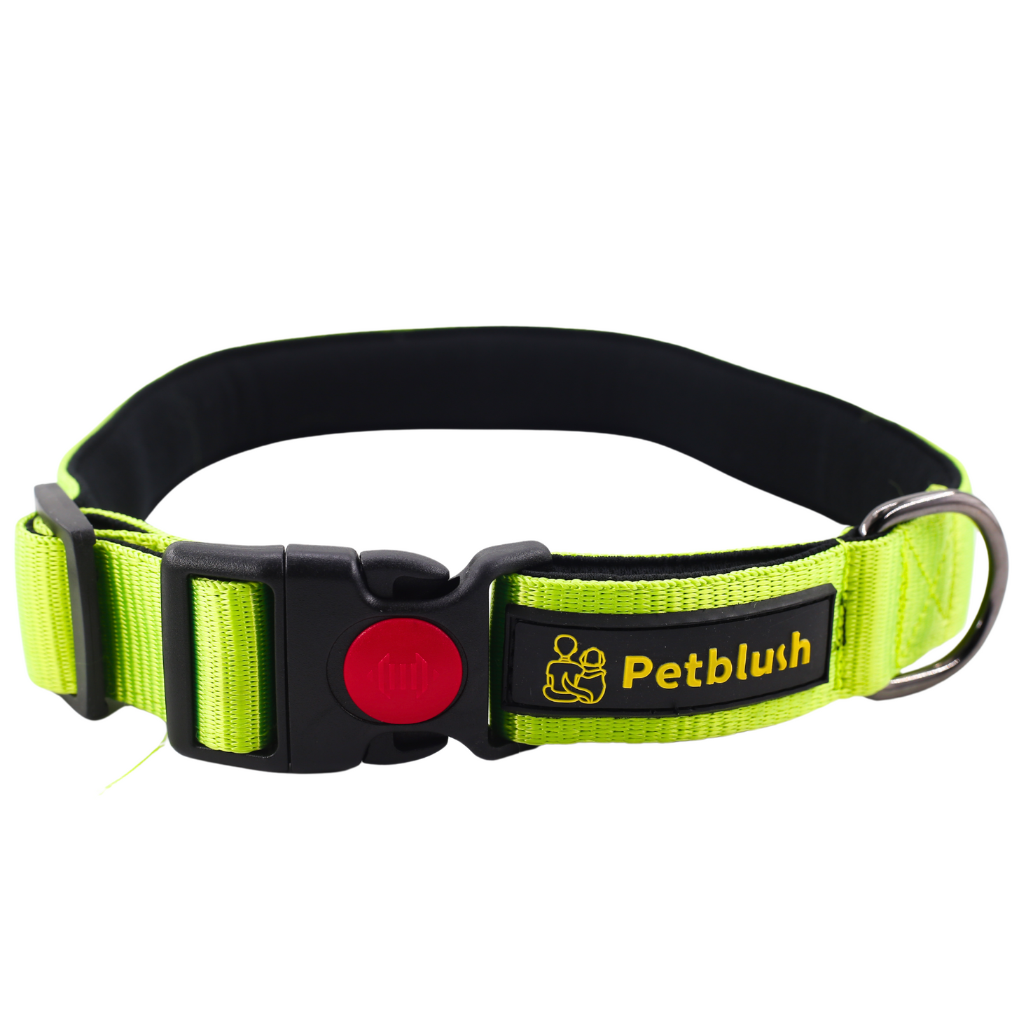Petblush Bold Padded Collars with Lock Buckle