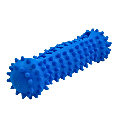 Petblush Dragon Spike Teething Rubber Dog Toy