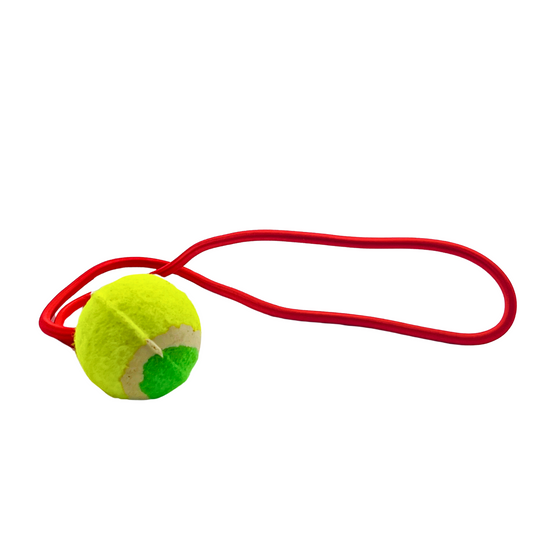 Wootails Tennis Ball With Rope For Dogs
