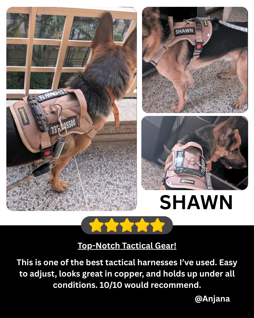 Petblush Tactical Harness for Dogs