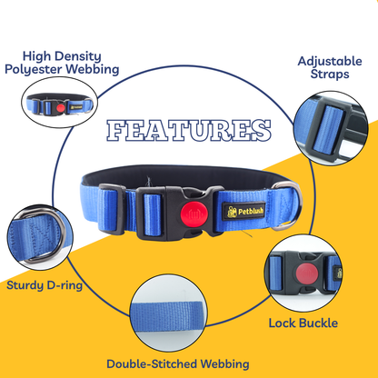 Petblush Bold Padded Collars with Lock Buckle