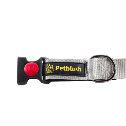 Petblush Bold Padded Collars with Lock Buckle