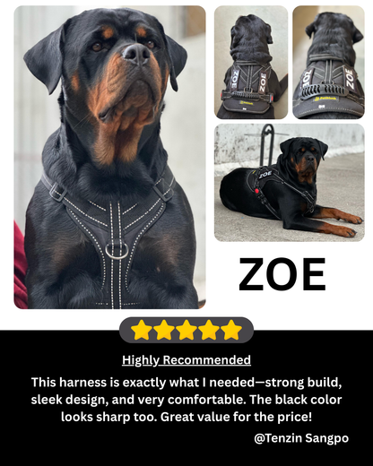 Petblush Tactical Harness for Dogs