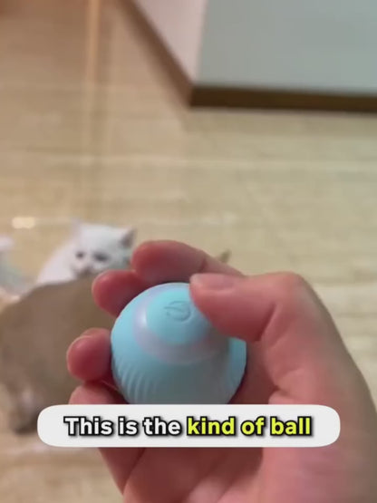 Petblush Rotating Cat Toy Ball